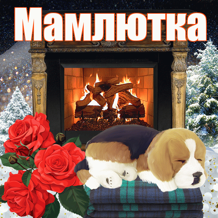 Мамлютка! Добрый зимний вечер! Красивая открытка Мамлютке!