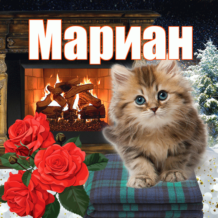 Мариан! Добрый зимний вечер! Красивая открытка Мариане!