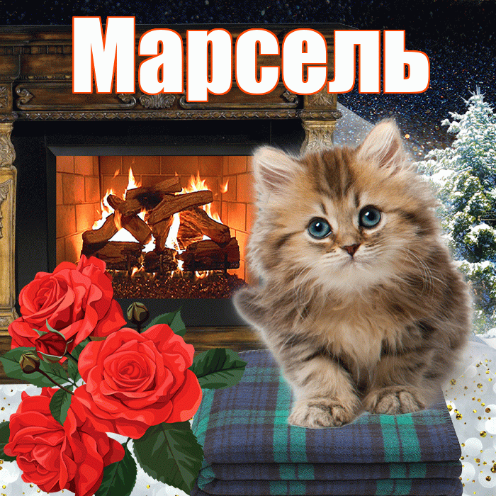 Марсель! Добрый зимний вечер! Красивая открытка Марселю!