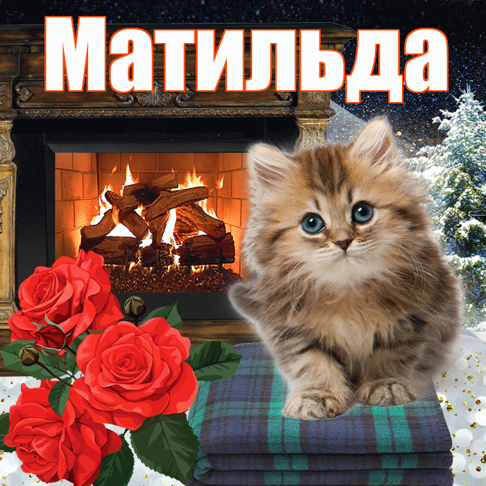 Матильда! Добрый зимний вечер! Красивая открытка Матильде!