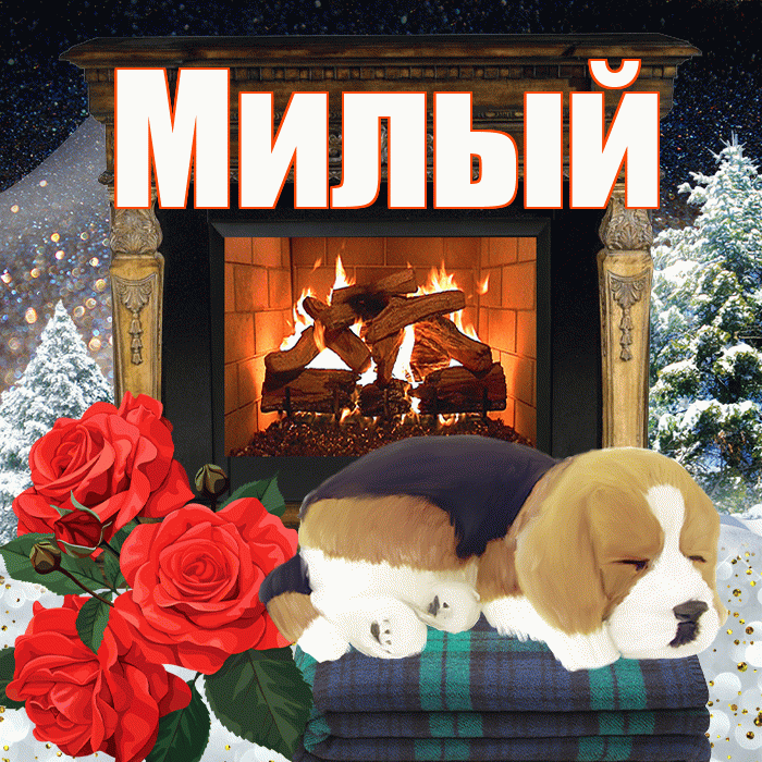 Милый! Добрый зимний вечер! Красивая открытка Милому!