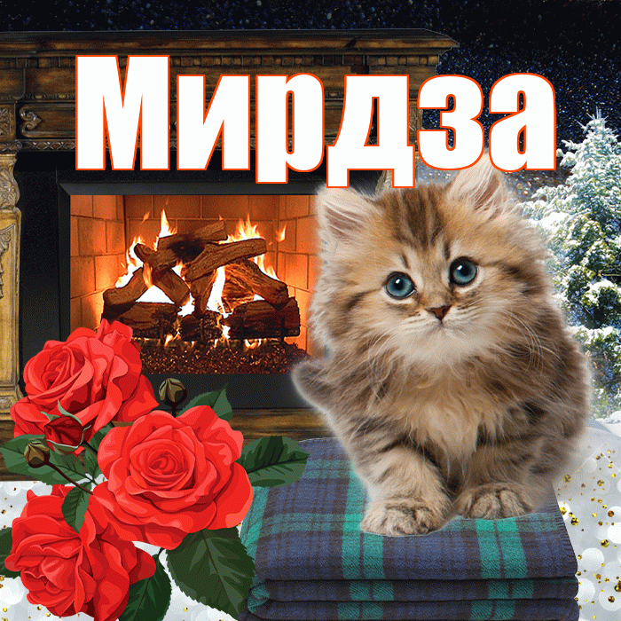 Мирдза! Добрый зимний вечер! Красивая открытка Мирдзой!