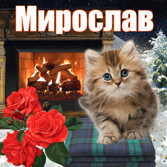 Мирослав! Добрый зимний вечер! Красивая открытка Мирославу!