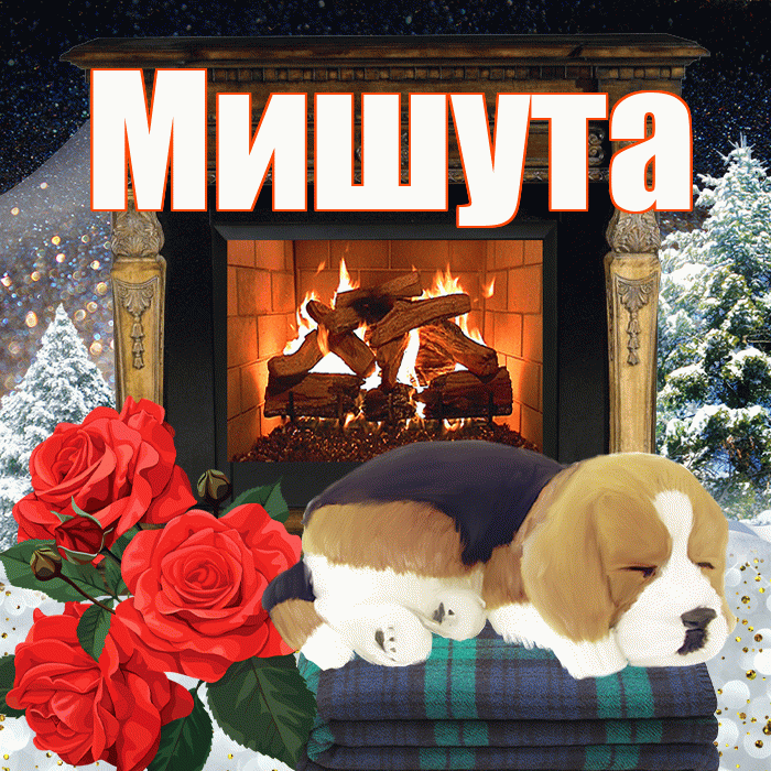 Мишута! Добрый зимний вечер! Красивая открытка !