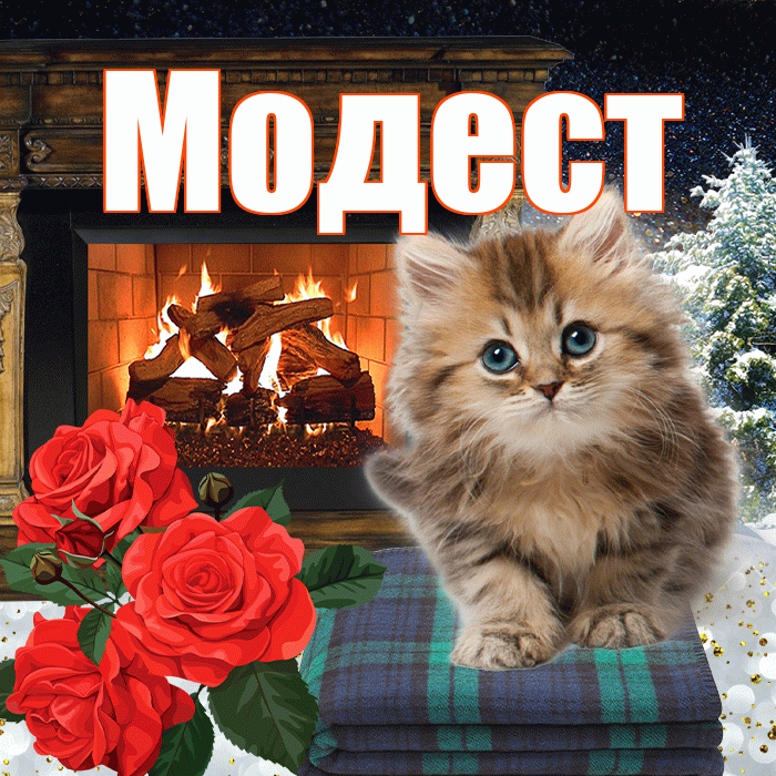 Модест! Добрый зимний вечер! Красивая открытка Модесту!