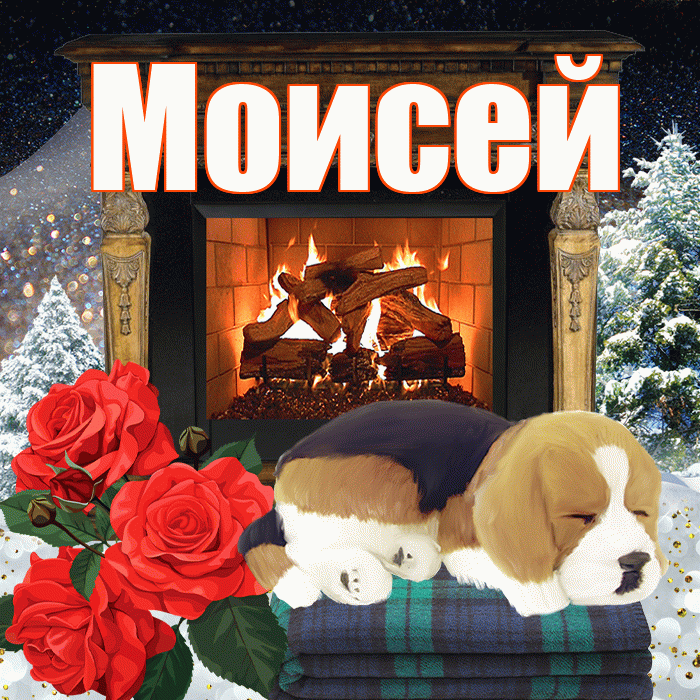 Моисей! Добрый зимний вечер! Красивая открытка Моисею!