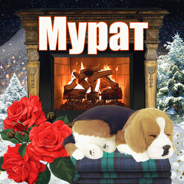 Мурат! Добрый зимний вечер! Красивая открытка Мурату!
