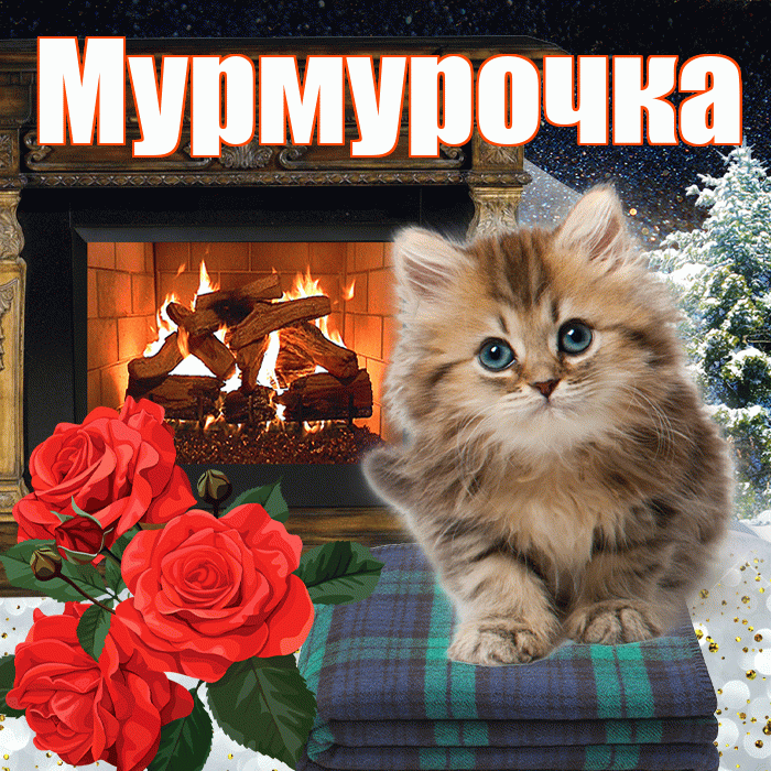 Мурмурочка! Добрый зимний вечер! Красивая открытка Мурмурочку!
