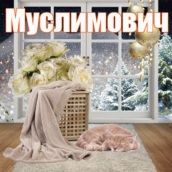 Муслимович! Добрый зимний вечер! Красивая открытка Муслимовичу!