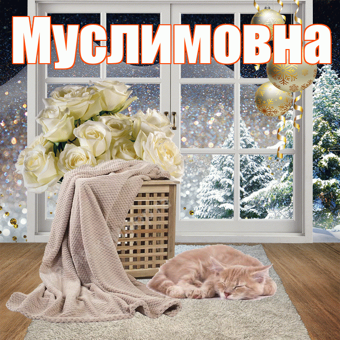 Муслимовна! Добрый зимний вечер! Красивая открытка Муслимовне!