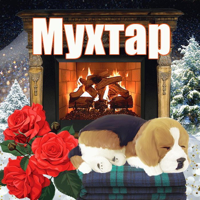 Мухтар! Добрый зимний вечер! Красивая открытка Мухтару!