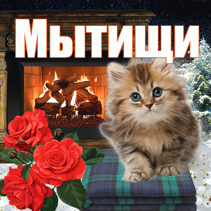Мытищи! Добрый зимний вечер! Красивая открытка Мытищи!