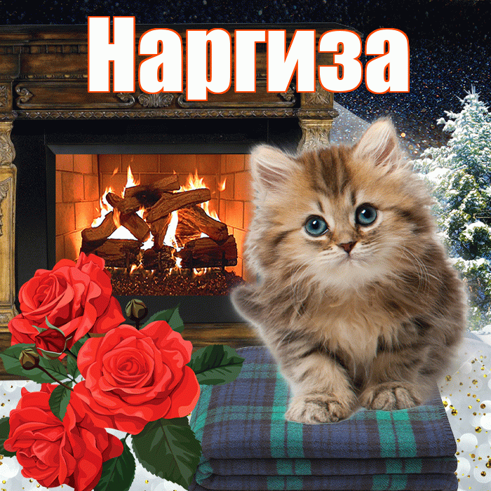 Наргиза! Добрый зимний вечер! Красивая открытка Наргизе!