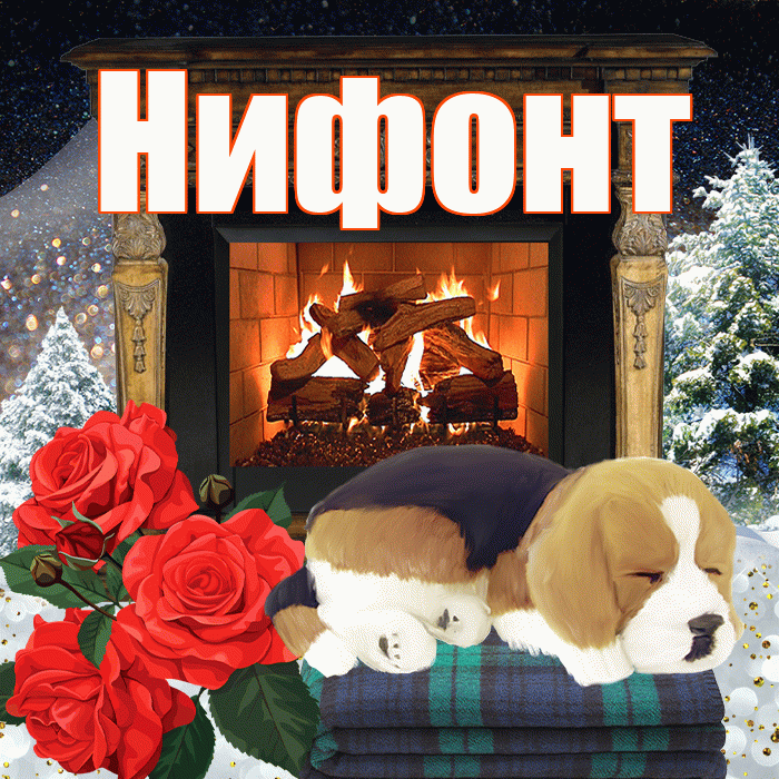 Нифонт! Добрый зимний вечер! Красивая открытка Нифонту!