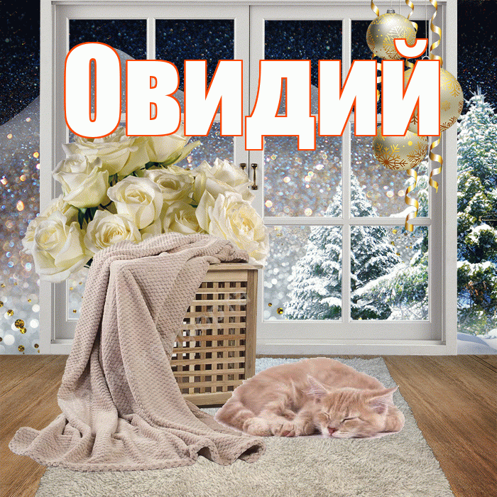 Овидий! Добрый зимний вечер! Красивая открытка Овидию!