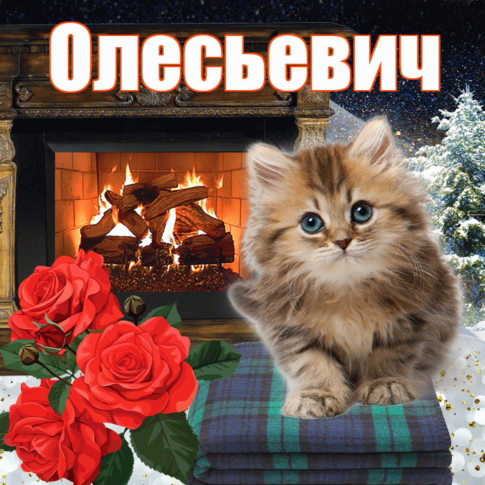 Олесьевич! Добрый зимний вечер! Красивая открытка Олесьевичу!