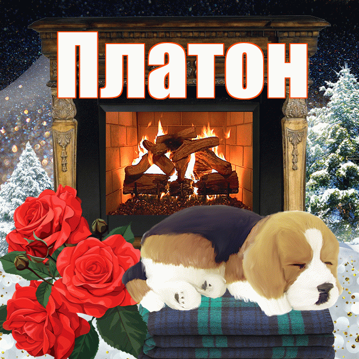 Платон! Добрый зимний вечер! Красивая открытка Платону!