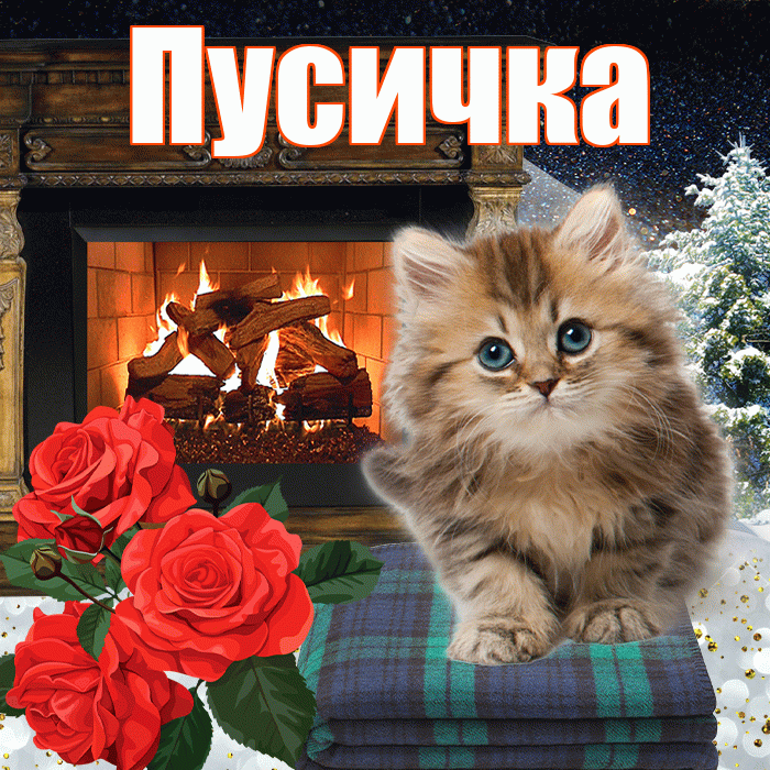 Пусичка! Добрый зимний вечер! Красивая открытка Пусичке!