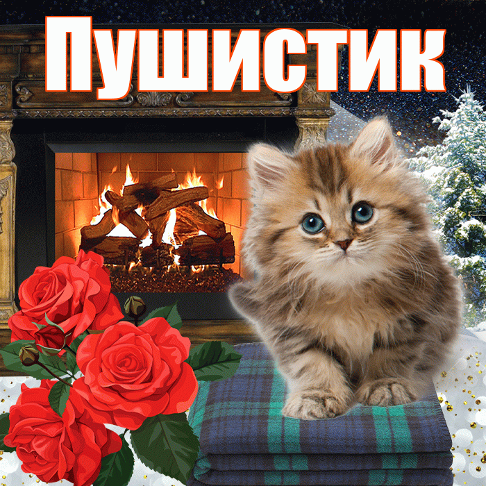 Пушистик! Добрый зимний вечер! Красивая открытка Пушистику!