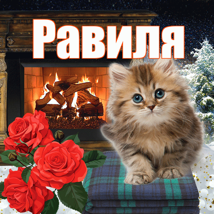 Равиля! Добрый зимний вечер! Красивая открытка Равиле!