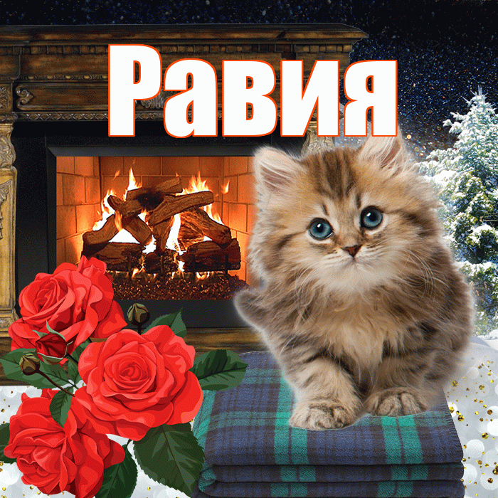 Равия! Добрый зимний вечер! Красивая открытка Равии!