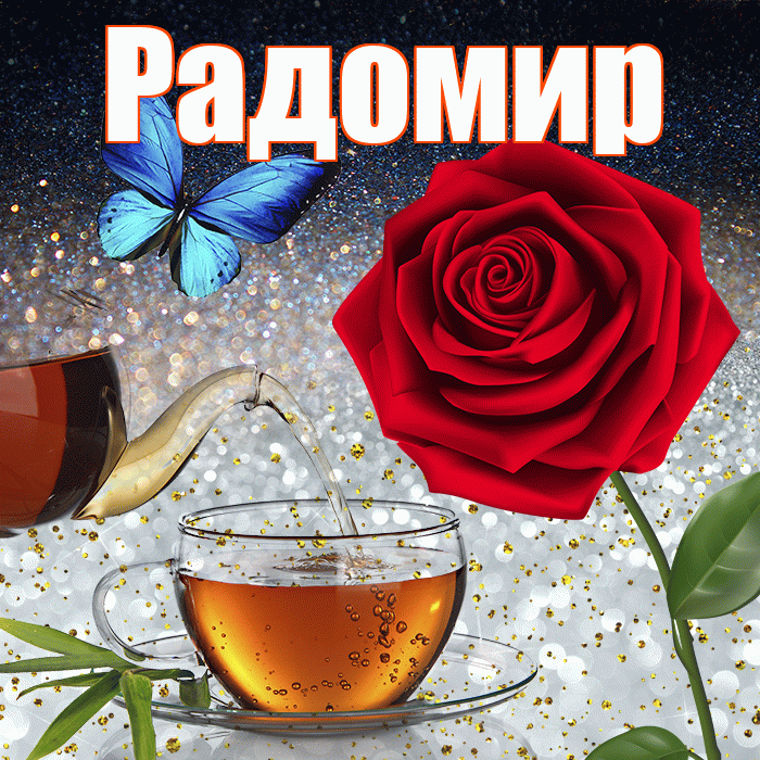 Радомир! Добрый зимний вечер! Красивая открытка Радомиру!