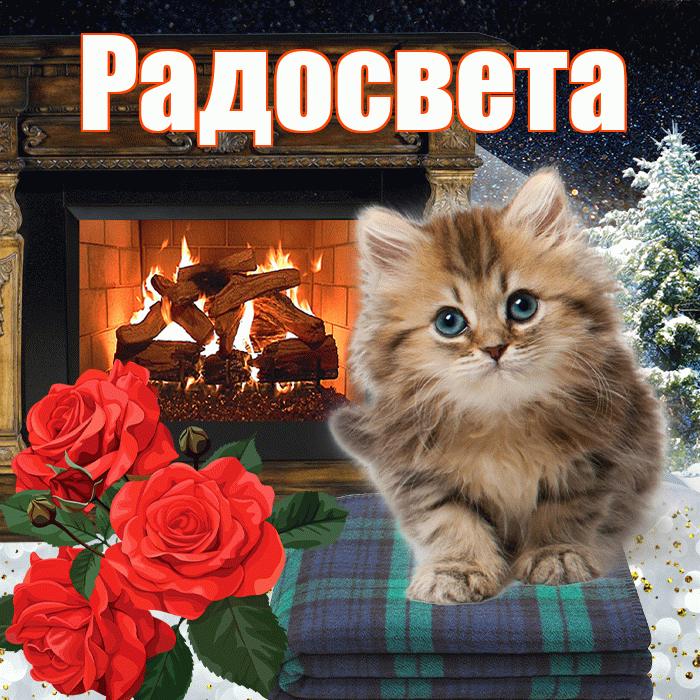 Радосвета! Добрый зимний вечер! Красивая открытка Радосвету!