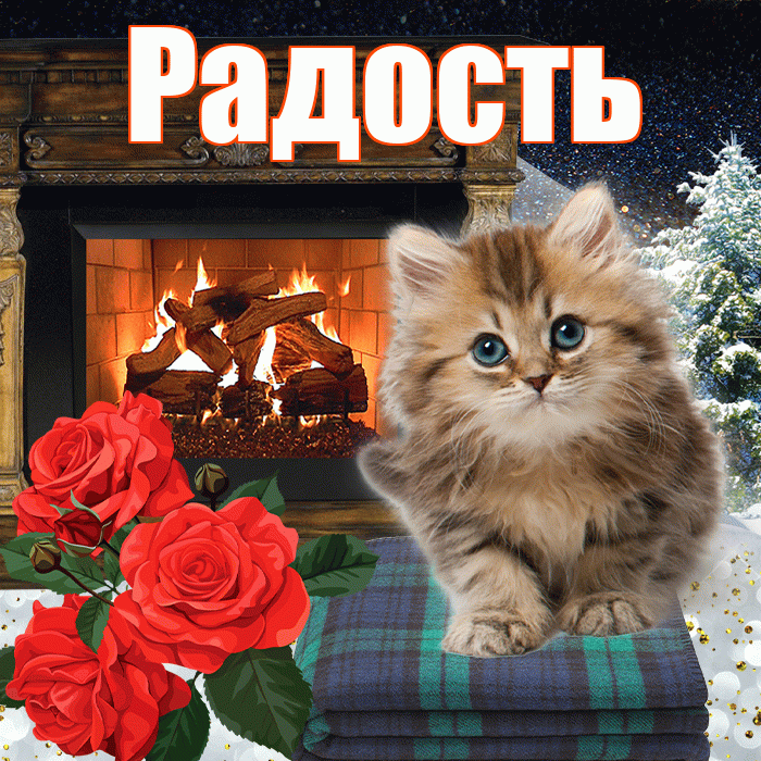 Радость! Добрый зимний вечер! Красивая открытка Радости!