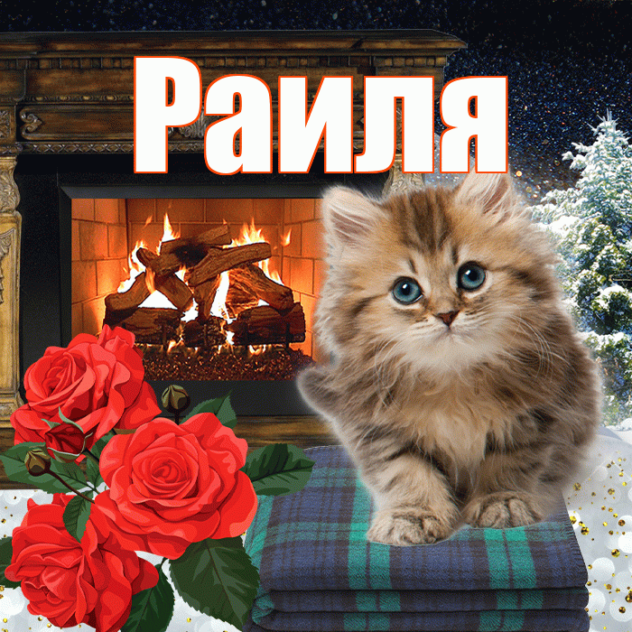 Раиля! Добрый зимний вечер! Красивая открытка Раиле!