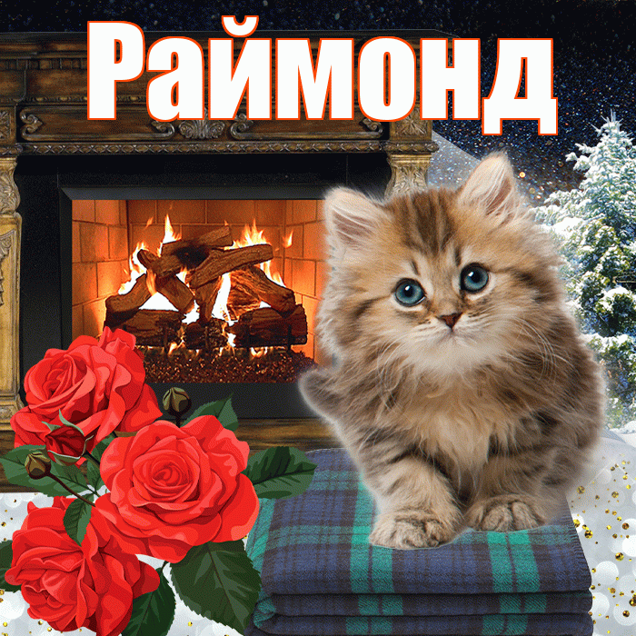 Раймонд! Добрый зимний вечер! Красивая открытка Раймонду!