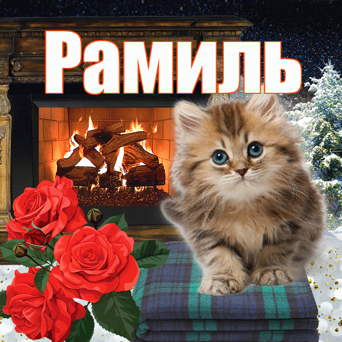 Рамиль! Добрый зимний вечер! Красивая открытка Рамилю!