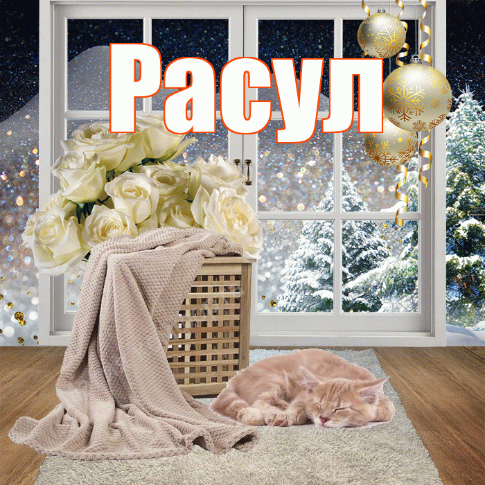 Расул! Добрый зимний вечер! Красивая открытка Расулу!