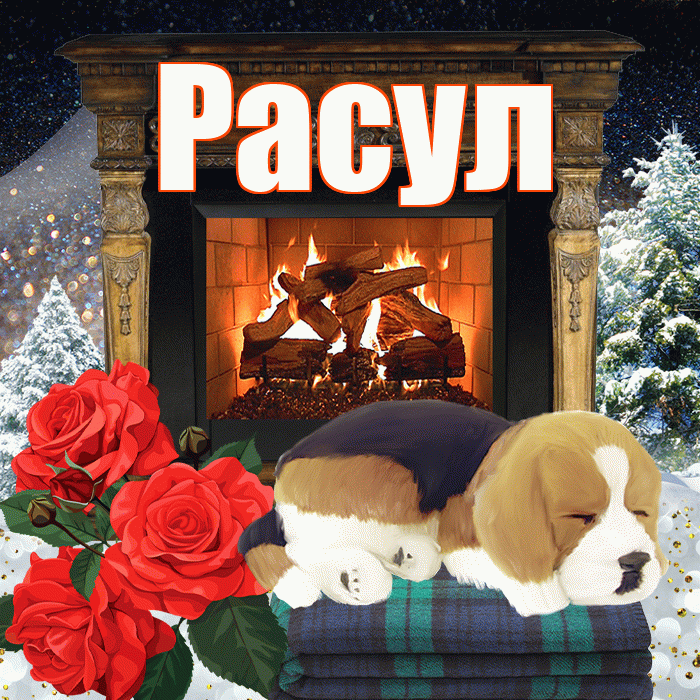 Расул! Добрый зимний вечер! Красивая открытка Расулу!