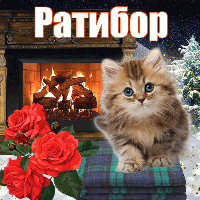Ратибор! Добрый зимний вечер! Красивая открытка Ратибору!
