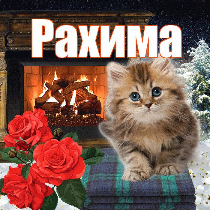 Рахима! Добрый зимний вечер! Красивая открытка Рахиме!