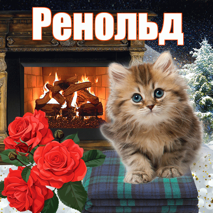 Ренольд! Добрый зимний вечер! Красивая открытка Ренольду!