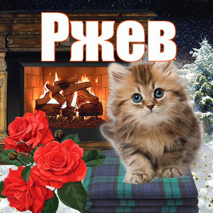Ржев! Добрый зимний вечер! Красивая открытка Ржеву!