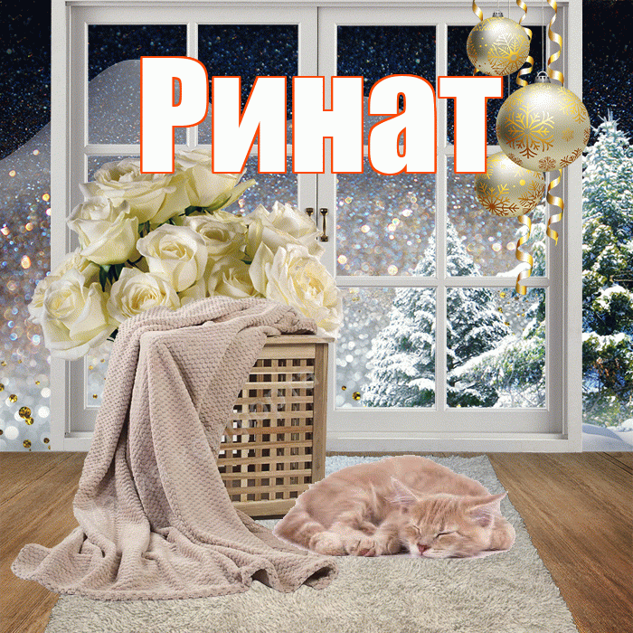 Ринат! Добрый зимний вечер! Красивая открытка Ринату!