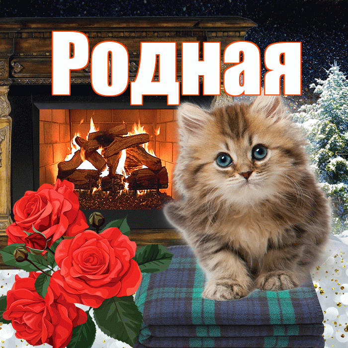 Родная! Добрый зимний вечер! Красивая открытка Родной!