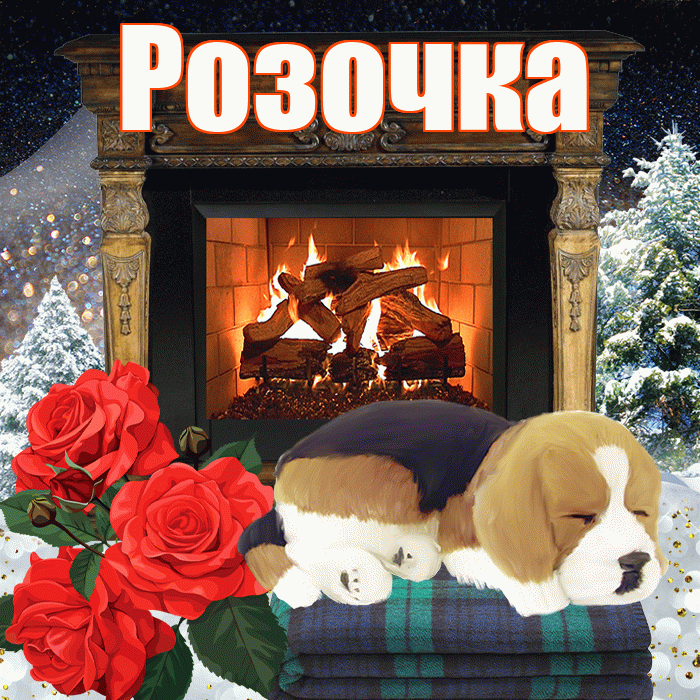Розочка! Добрый зимний вечер! Красивая открытка !