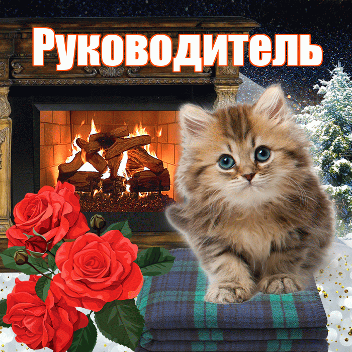 Руководитель! Добрый зимний вечер! Красивая открытка Руководителю!