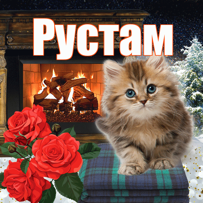 Рустам! Добрый зимний вечер! Красивая открытка Русту!