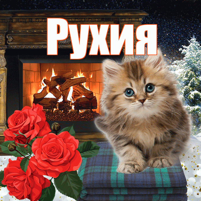 Рухия! Добрый зимний вечер! Красивая открытка Рухие!