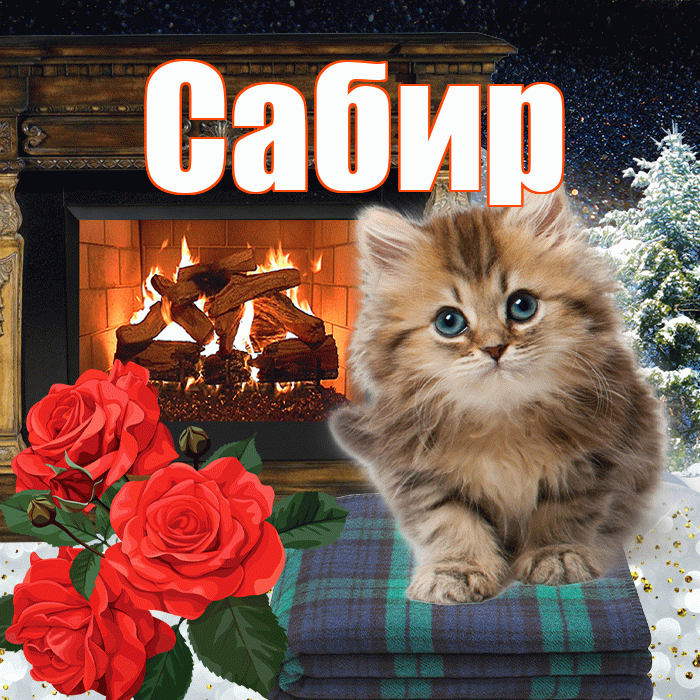 Сабир! Добрый зимний вечер! Красивая открытка Сабиру!