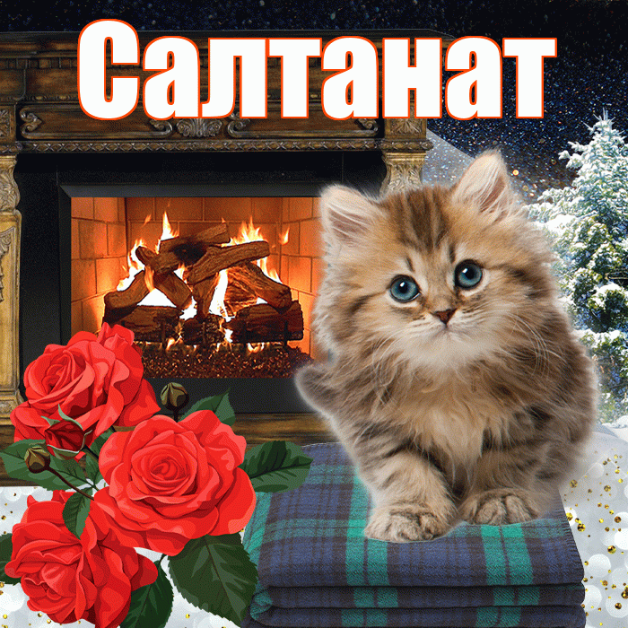Салтанат! Добрый зимний вечер! Красивая открытка Салтанат!