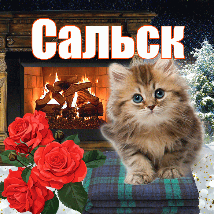 Сальск! Добрый зимний вечер! Красивая открытка Сальску!