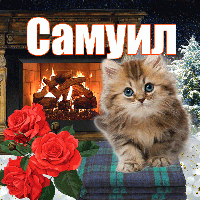 Самуил! Добрый зимний вечер! Красивая открытка Самуилу!