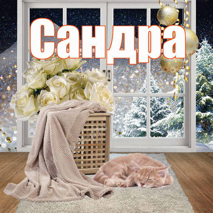 Сандра! Добрый зимний вечер! Красивая открытка Сандре!