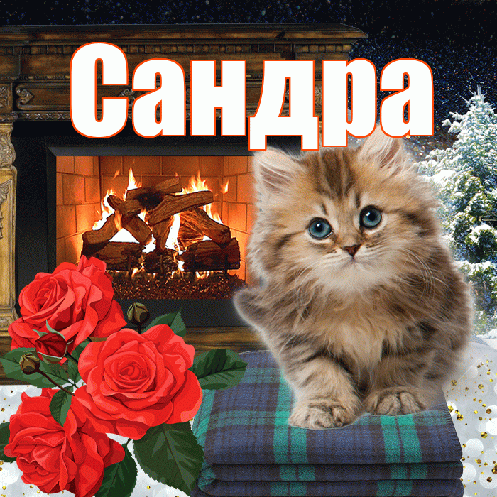 Сандра! Добрый зимний вечер! Красивая открытка Сандре!