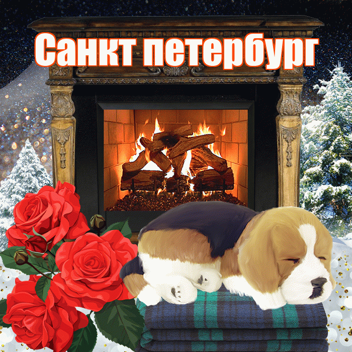 Санкт петербург! Добрый зимний вечер! Красивая открытка !